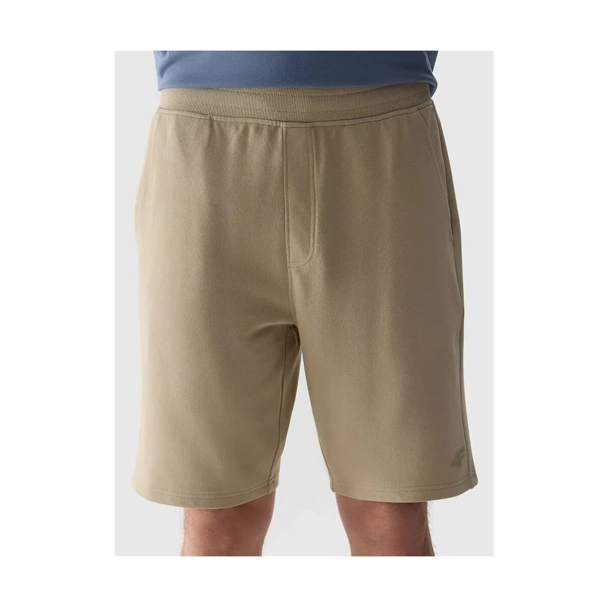 4F 4FWSS24TSHOM28483S Béžová