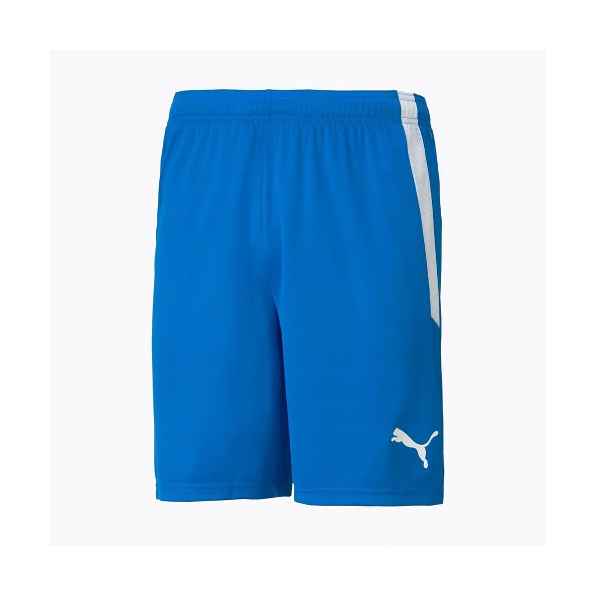 Puma Spodenki Męskie Teamliga Niebieskie Modrá