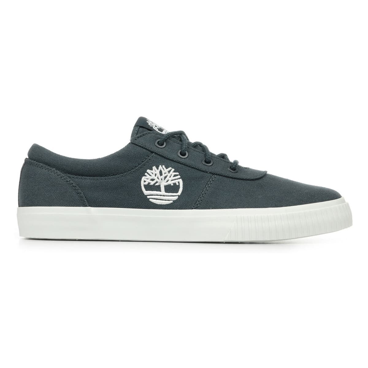Timberland Mylo Bay Low Lace Sneaker Modrá