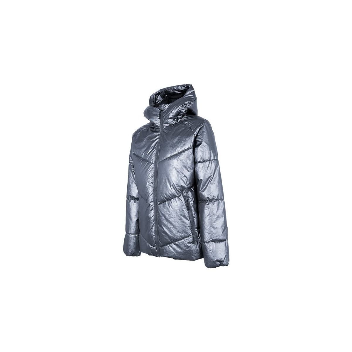 4F KUDP010 Stříbrná